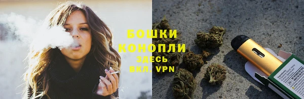 сатива Медногорск