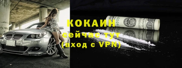 тгк Михайлов