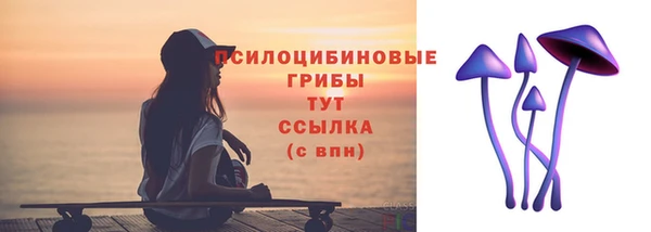 тгк Михайлов