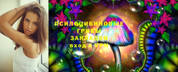 кокс Михайловск
