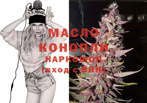 тгк Михайлов