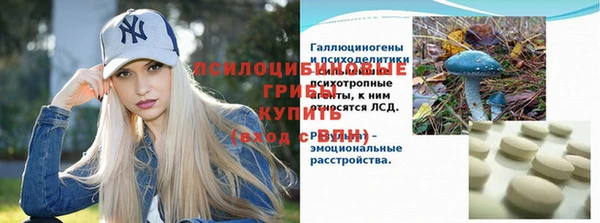 индика Беслан