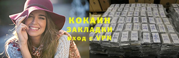 тгк Михайлов
