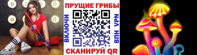 Псилоцибиновые грибы Cubensis  Трёхгорный 